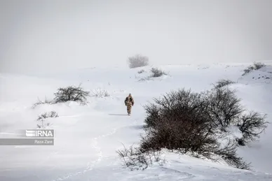 مرزبانان وطن در زمستان