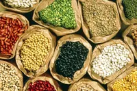 تغییر قیمت حبوبات غیرقانونی است (۱۴ دی ۱۴۰۲)