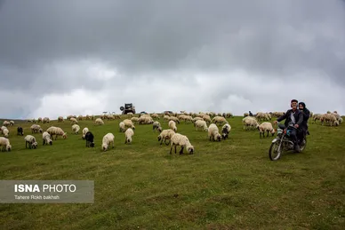 ایران زیباست | سوباتان بهشت مه آلود ایران