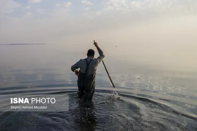 نگهبانان تالاب هورالعظیم