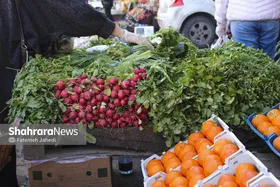 هیچ کمبودی در تأمین کالا&zwnj;های اساسی و میوه شب عید در مشهد وجود ندارد (۲۹ اسفند ۱۴۰۳)