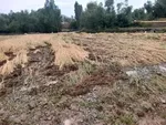 خسارت سیل در شهرستان جغتو ولایت غزنی افغانستان + عکس