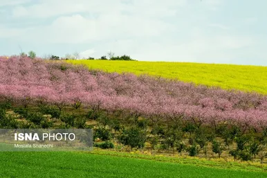 ایران زیباست | طبیعت بهاری روستاهای اطراف ساری