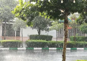 بارش باران امسال، برابر با سال گذشته