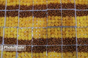 نظارت بر سلامت فرآورده&zwnj;های غذایی پرمصرف در ماه رمضان ۱۴۰۳ تشدید می&zwnj;شود
