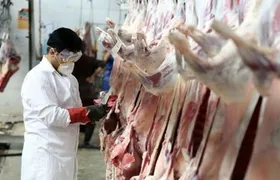 ذبح دام در عید قربان امسال چگونه انجام می&zwnj;شود؟