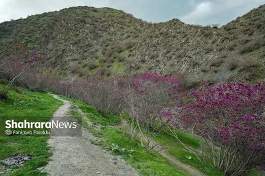 گزارش تصویری | دره «ارغوان» مشهد