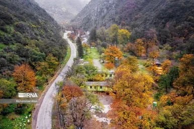 ایران زیباست | پاییز در جنگل‌های هیرکانی