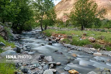 ایران زیباست | طبیعت بهاری «طارُم»، هندوستان ایران