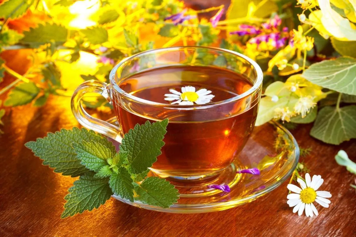 اینفوگرافی| آویشن بهترین داروی گیاهی برای سرماخوردگی