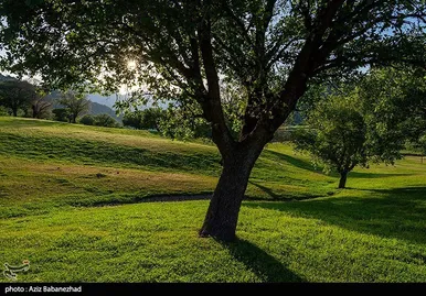 ایران زیباست | طبیعت بهاری منطقه دره اناران سپیدشت خرم آباد