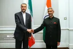 امیرعبداللهیان با همتای هندی دیدار کرد + فیلم و تصاویر