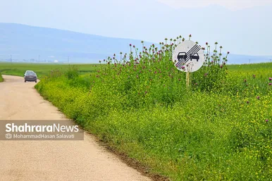 طبیعت زیبای ترکمن صحرا