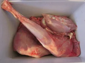 فروش گوشت آهو، شکار نشده، ۷۰۰ هزار تومان! + فیلم