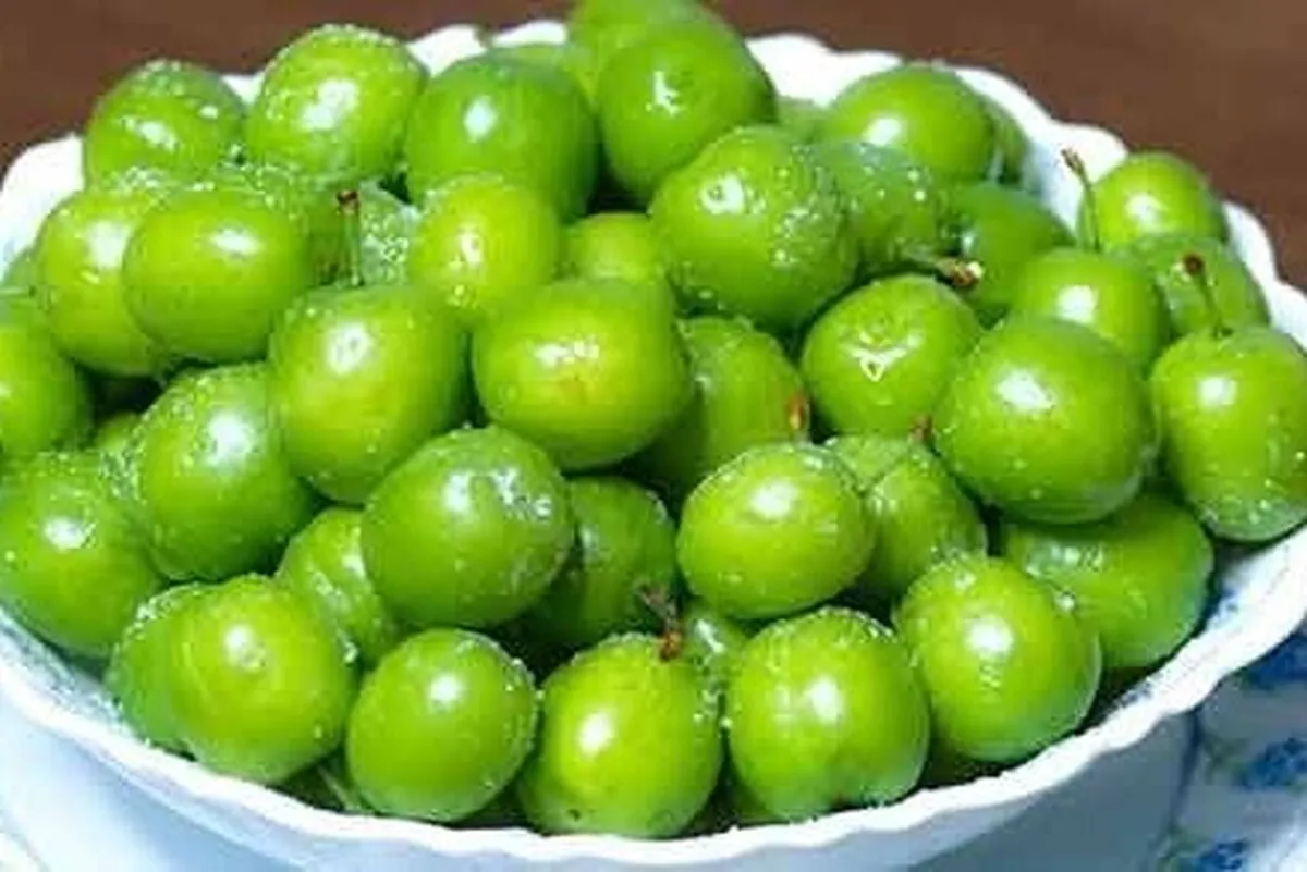 افزایش سیستم ایمنی بدن زنان باردار با مصرف به‌اندازه گوجه‌سبز