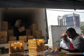 &laquo;قیمت مرغ&raquo; در بازار تهران کاهش یافت (۲۴ اردیبهشت ماه ۱۴۰۱)