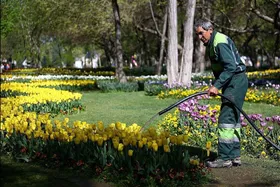 شهردار مشهد مقدس خبر داد: استفاده سالانه ۱۱.۲ میلیون متر مکعب پساب برای آبیاری فضای سبز شهر مشهد