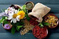 توصیه‌های طب ایرانی برای حفظ سلامتی در فصل بهار| حجامت برای همه افراد مناسب نیست