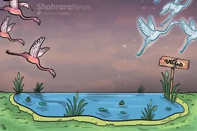 درباره تلف&zwnj;شدن پرندگان مهاجر در تالاب میانکاله | مرگ در پناهگاه زمستانی