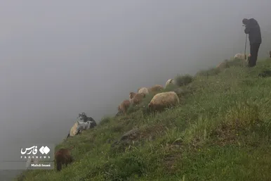 پدر، جانِ زندگی
