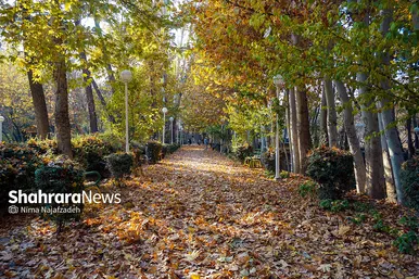 طبیعت پاییزی بوستان های مشهد