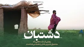 ویدئو| دشتبان؛ روایتی از دشت&zwnj;هایی که محصول شیرین&zwnj;شان را همه می&zwnj;شناسند