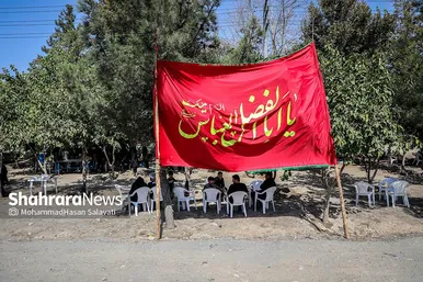 زائران پیاده امام رضا (ع)