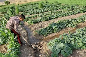 روستائیان، عشایر و کشاورزان بیمه می شوند