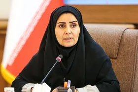 وزیر راه و شهرسازی: ۸۰ درصد زائران از طریق حمل&zwnj;ونقل جاده&zwnj;ای وارد مشهد شده&zwnj;اند | هیچ&zwnj;کس گلایه&zwnj;ای مبنی بر نبود بلیت اتوبوس نداشت + ویدئو