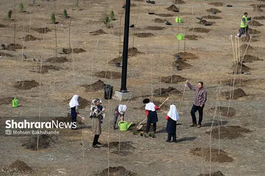 پویش سراسری درخت‌کاری در بوستان جهانشهر