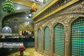 محکومیت توهین به ساحت امام&zwnj;رضا (ع) توسط علمای اهل&zwnj;سنت | ویدئو
