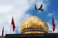 صبر آگاهانه حضرت زینب (س)، عامل ماندگاری نهضت عاشورا