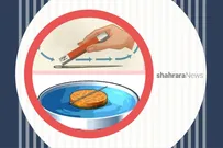 دانستنی‌های نوجوان | قطب‌نما بسازیم