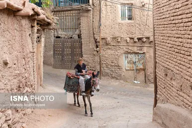 ایران زیباست | «خرو» بزرگ‌ترین تولیدکننده آلو در کشور