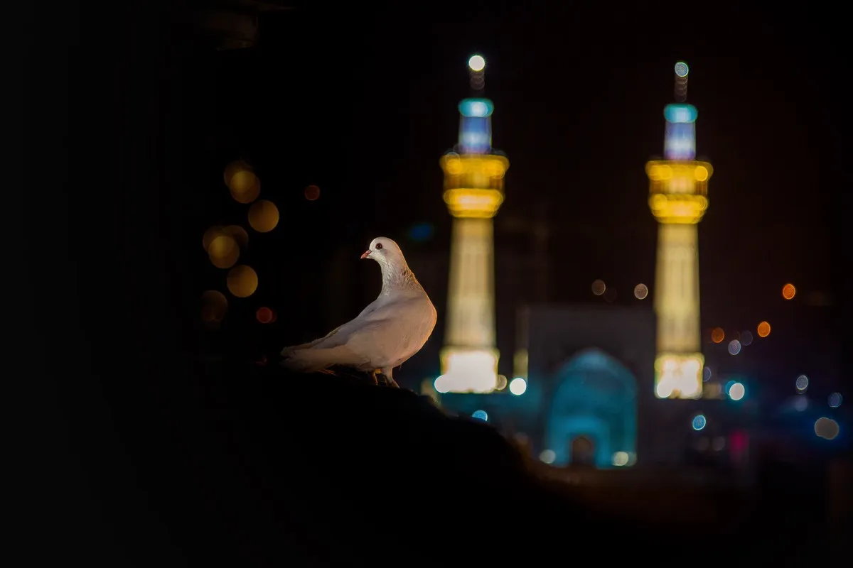 ۳۵ سال پیوستگی شعر آیینی در حرم مطهر امام رضا(ع)