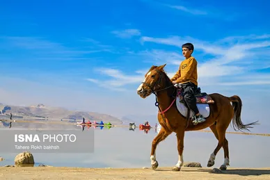 گزارش تصویری | وقتی تالاب‌ می‌میرد...