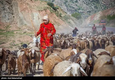 عبور عشایر از خرم آباد