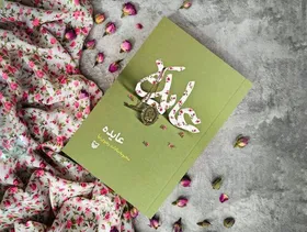انتشار کتاب از خاطرات مادر شهید حزب&zwnj;الله لبنان به قلم محبوبه&zwnj;سادات رضوی&zwnj;نیا