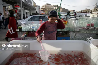 بازار گل مشهد در آستانه سال نو