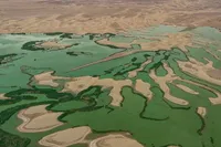 ویدئو| تالاب پساب یزد
