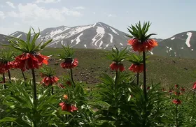 ویدئو| طبیعت چشم&zwnj;نواز کوهرنگ در چهارمحال و بختياری