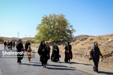 زائران پیاده در مسیر حرم مطهر رضوی