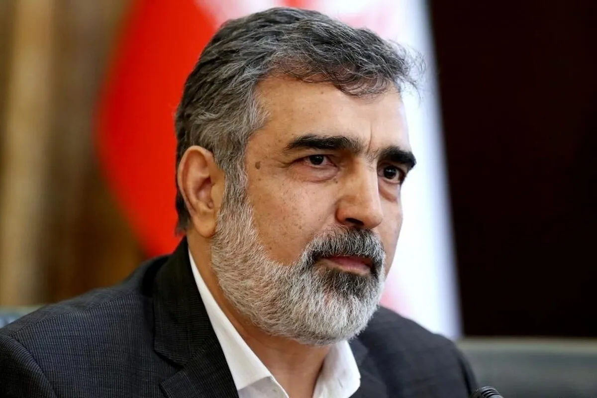 سخنگوی سازمان انرژی اتمی: سه دستاورد مهم هسته‌ای ثبت شد