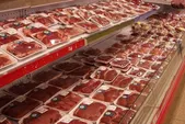 امنیت غذایی کشور با تنوع بخشی به مبادی واردات گوشت قرمز | راه طولانی گوشت تا سفره مردم