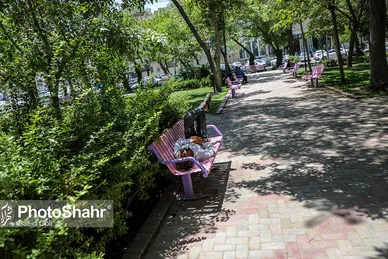 گرمای هوا در مشهد