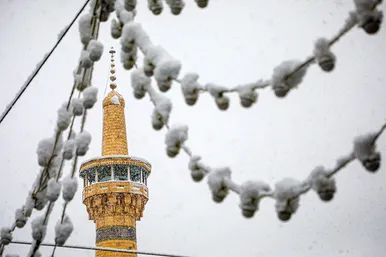 بارش برف در حرم مطهر رضوی