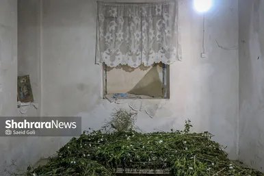 ابریشم کشی در بایگ