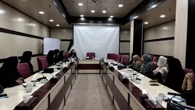 کارگروه زنان اتاق اندیشه&zwnj;ورزی وارد مرحله تصمیم&zwnj;سازی شد