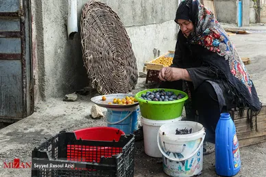 بام‌های طلایی خرو