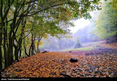 ایران زیباست | پاییز در ارسباران